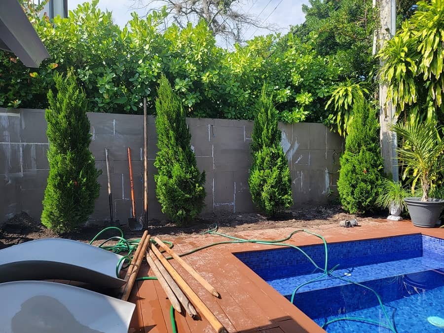 GNS landscaping in Lake Worth Beach - West Palm Beach- FL;
landscaping;
lawn care;
yard maintenance;
backyard design;
patio installation; 
residential landscaping;
garden landscaping;
commercial landscaping;